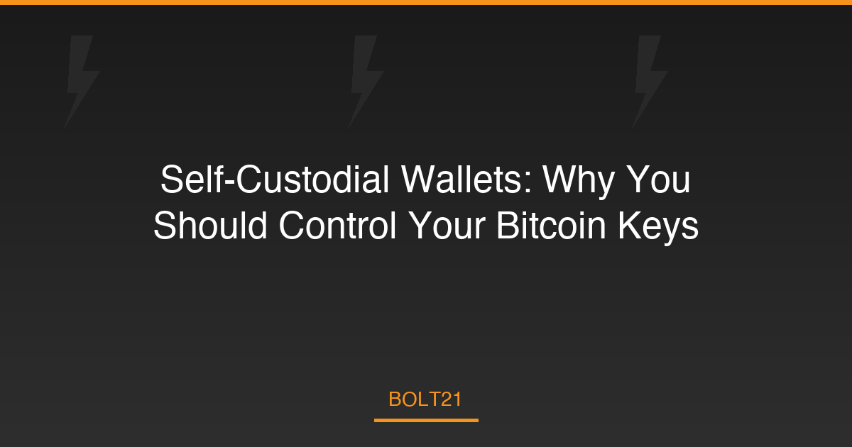 Self-Custodial Wallets: Why You Should Control Your Bitcoin Keys
